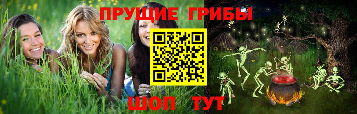 Галлюциногенные грибы Psilocybine cubensis Гурьевск
