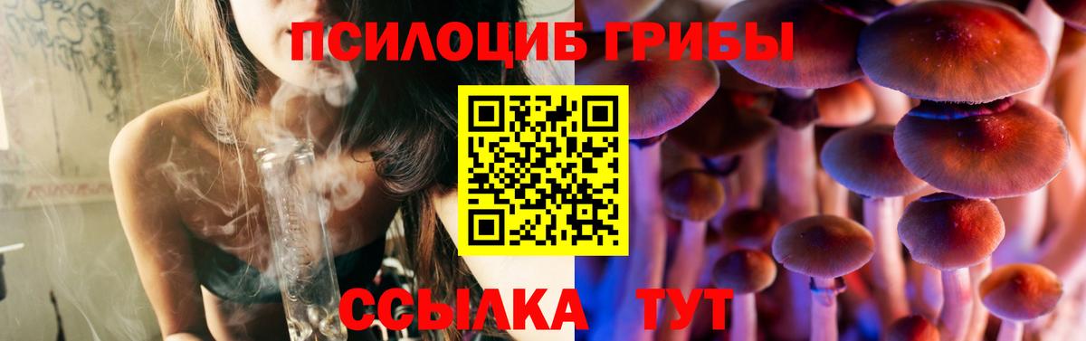 Гурьевск  закладки  Вход с VPN  Псилоцибиновые грибы GOLDEN TEACHER  Псилоцибиновые грибы Magic Shrooms 